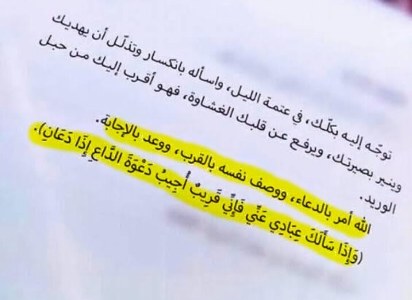 "أرني أنظر إليك: رحلة البحث عن الهوية في أدب خولة حمدي"